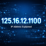 125.16.12.1100