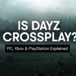 is dayz crossplay